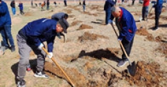 【市城市燃熱集團富泰熱力】公司組織員工參加義務植樹